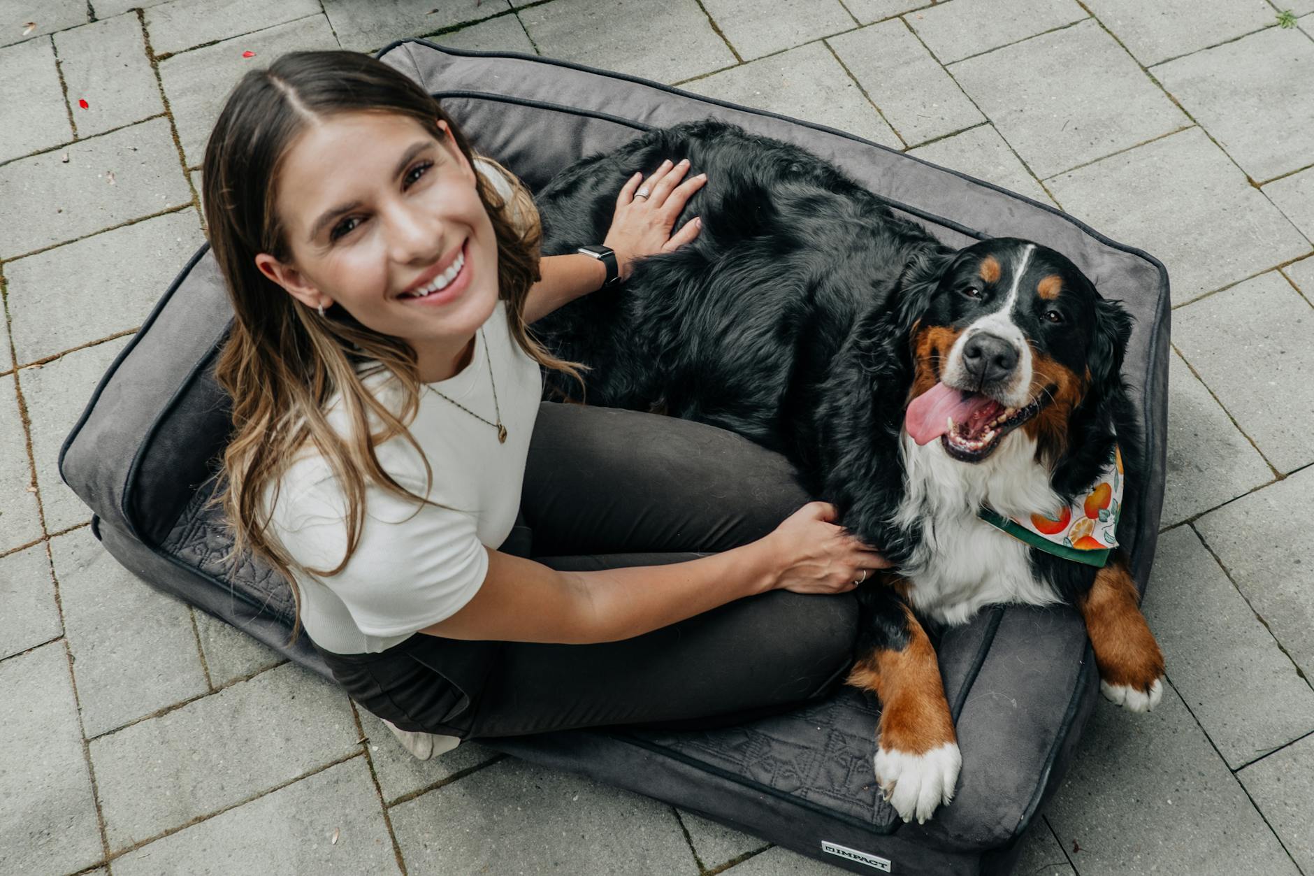 Frisbee the Bernese Mountain Dog, founder of Frisbee's Premium Dog Bones