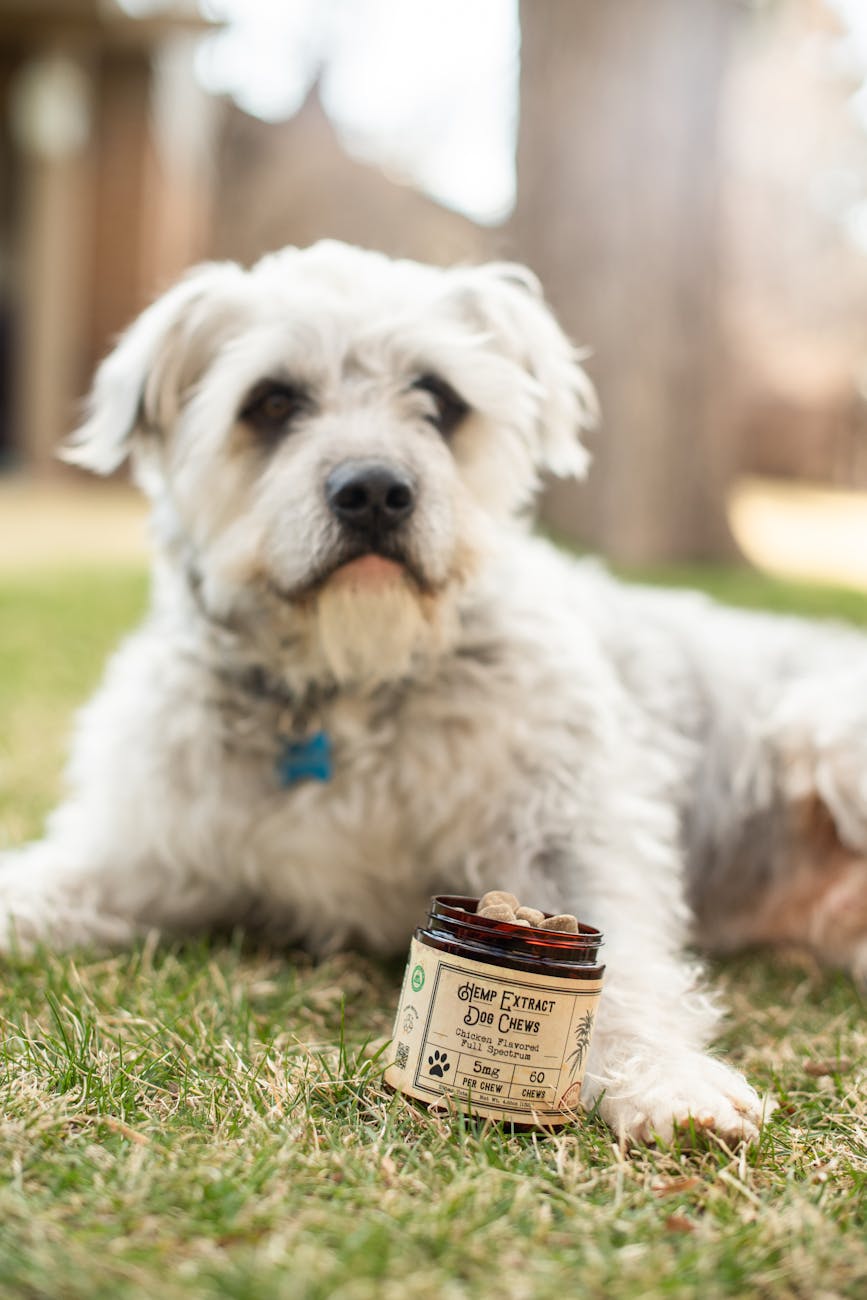 Natural hemp dog chews